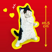 Load image into Gallery viewer, NAYoooo!! Fist Bumping Cat