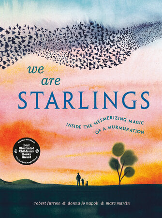 We Are Starlings cover