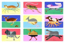 Load image into Gallery viewer, Whose Hooves?: An animal mix and match card game