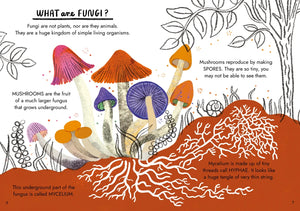 Little Guide to Nature: Hello Fungi