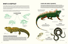 Load image into Gallery viewer, Reptiles and Amphibians of the Americas