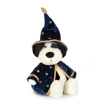 Load image into Gallery viewer, Rufferty Puppy - Wizard Costume