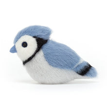 Load image into Gallery viewer, Birdling Blue Jay