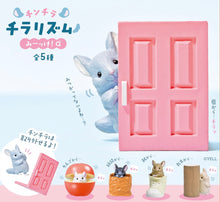Load image into Gallery viewer, Peeking Chinchilla Blind Box