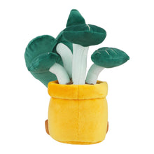 Load image into Gallery viewer, Alocasia Black Velvet Succulent