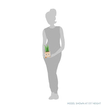 Load image into Gallery viewer, Honeymaru Plush Snake Plant