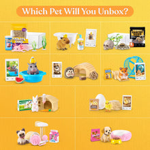 Load image into Gallery viewer, My Mini Pets