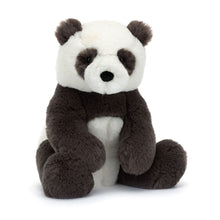 Load image into Gallery viewer, Harry Panda cub