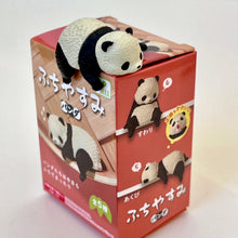 Load image into Gallery viewer, Resting panda  Surprise Box