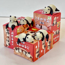 Load image into Gallery viewer, Resting panda  Surprise Box