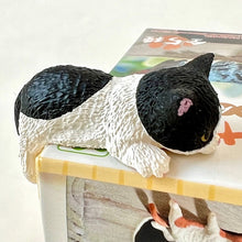 Load image into Gallery viewer, Resting Cats Blind Box
