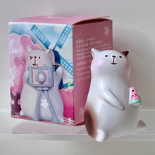 Load image into Gallery viewer, Cat Picnic Blind Box