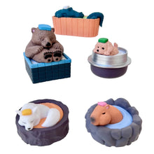 Load image into Gallery viewer, Hot-spring Animals BlindBox