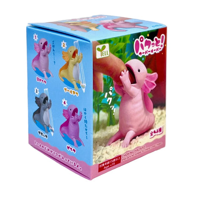Axolotl Wooper Looper Blind Box