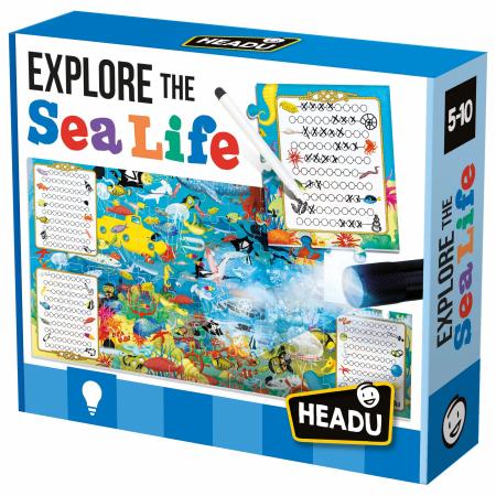 Explore the Sea Life