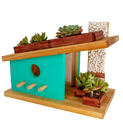 Modern Birdhouse Woodworking Kit