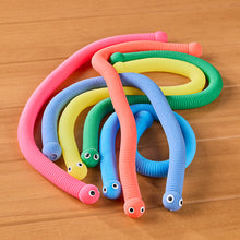 Load image into Gallery viewer, Can of Worms