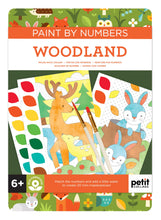 Load image into Gallery viewer, Petit Collage: Paint By Number