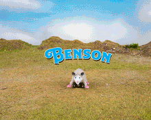 Load image into Gallery viewer, Racing Possums