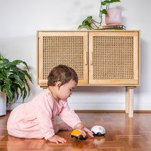 Load image into Gallery viewer, Zoomies - Cat and Mouse