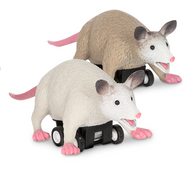 Racing Possums