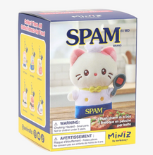 Load image into Gallery viewer, Miniz SPAM Surprise Box