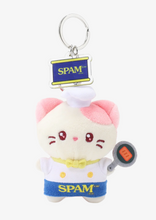 Load image into Gallery viewer, Miniz SPAM Surprise Box