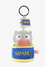 Load image into Gallery viewer, Miniz SPAM Surprise Box