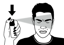 Load image into Gallery viewer, Knockout Pepper Sprays