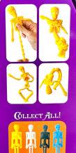Load image into Gallery viewer, Squish and Stretch Skeleton