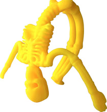 Load image into Gallery viewer, Squish and Stretch Skeleton