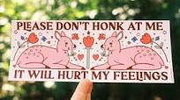 Please Don't Honk At Me Bumper Sticker