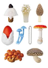 Mono Plus Mushroom Keychain Blind Box