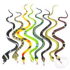 Rainforest Snakes