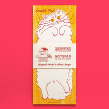 Load image into Gallery viewer, Scratch Pad Cat