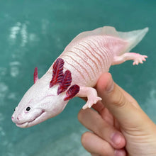 Load image into Gallery viewer, Axolotl