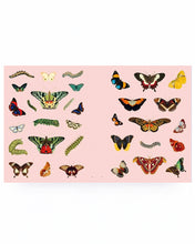 Load image into Gallery viewer, Extraordinary Things Sticker Book