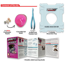 Load image into Gallery viewer, Discover-It | Dissect It