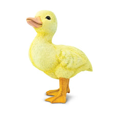 Load image into Gallery viewer, Duckling