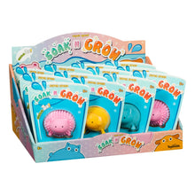 Load image into Gallery viewer, Pet Shop Soak N Grow