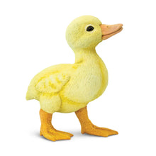 Load image into Gallery viewer, Duckling