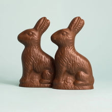 Load image into Gallery viewer, Milk Chocolate Bunny