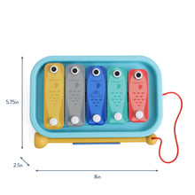 Load image into Gallery viewer, Xylophone Itzy Music School