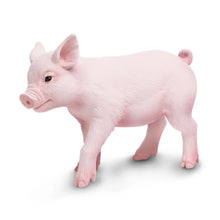 Load image into Gallery viewer, Piglet