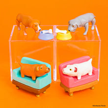 Load image into Gallery viewer, HELLO IN THE WORLD !! Vol.7 Blind Box