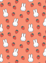 Load image into Gallery viewer, Miffy Note Cards