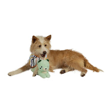 Load image into Gallery viewer, Squeaks A Lot | Pet Toy