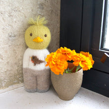 Load image into Gallery viewer, Happy Go Lucky Duckling