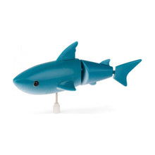 Load image into Gallery viewer, Wind-up Shark