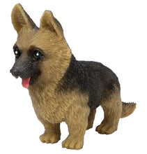 Load image into Gallery viewer, Pocket Pups | Series 2 - TREEHOUSE kid and craft